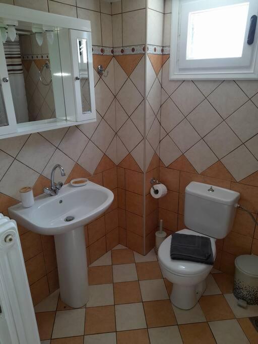 Summerandros Skalario Apartment