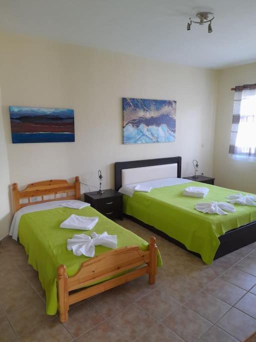 Summerandros Skalario Apartment Strapouries
