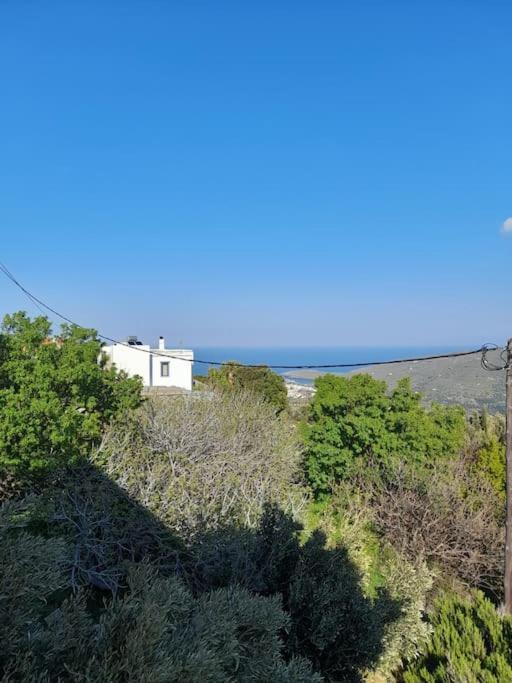 Apartment Summerandros Skalario Strapouries
