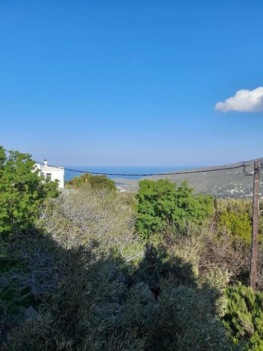 Apartment Summerandros Skalario Strapouries